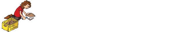 Archéologie en boites